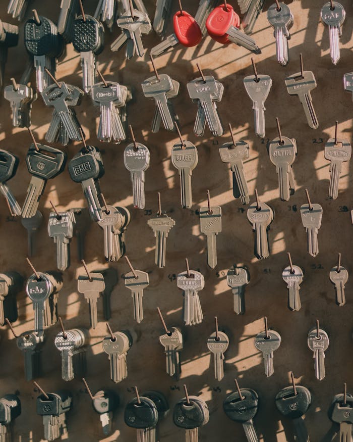 A collection of assorted metal keys hanging on a wall with hooks, casting shadows.